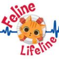 Feline Lifeline